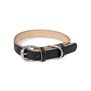 yS̓{z {v l[^Ot p  킢 I[_[Ch    ̎   ^ ^ v v  U[  킢 ybgpi 