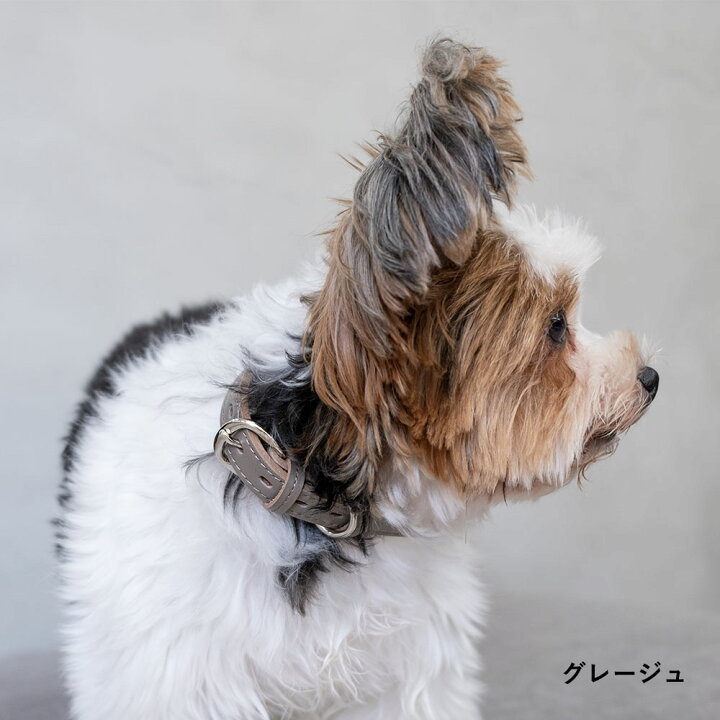楽天市場 犬 首輪 おしゃれ 犬 首輪 革 日本製 犬 首輪 かわいい 犬 首輪 かっこいい 犬の首輪 犬 首輪 小型犬 超小型犬 革 日本製 革製 皮 本革 レザー おしゃれ かわいい ペット用品 犬用品 カラー シンプル 10mm 15mm