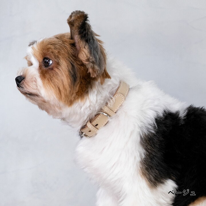 楽天市場 犬 首輪 おしゃれ 犬 首輪 革 日本製 犬 首輪 かわいい 犬 首輪 かっこいい 犬の首輪 犬 首輪 小型犬 超小型犬 革 日本製 革製 皮 本革 レザー おしゃれ かわいい ペット用品 犬用品 カラー シンプル 10mm 15mm