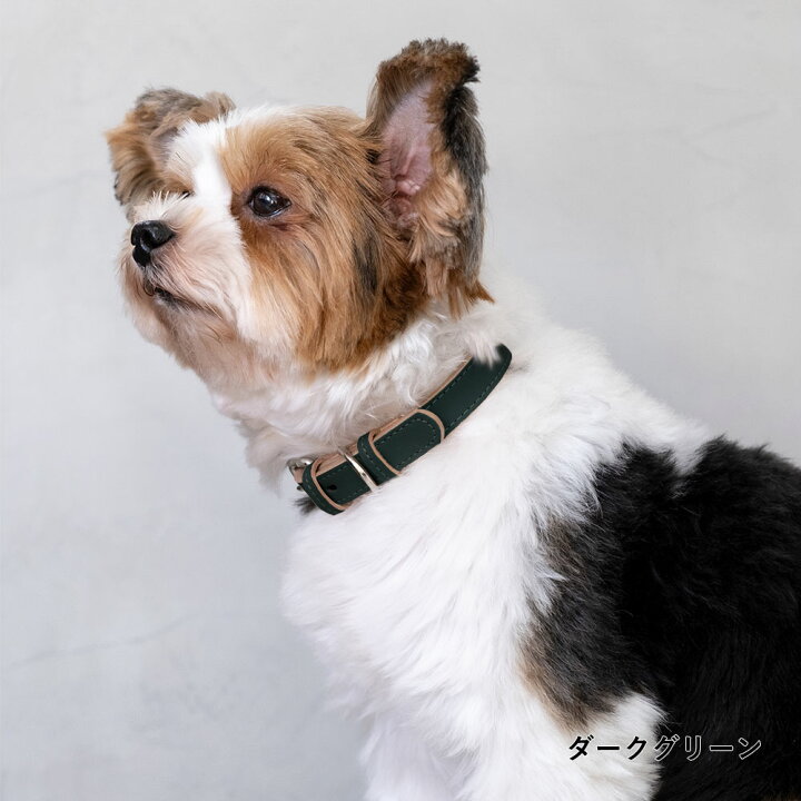 楽天市場 犬 首輪 おしゃれ 犬 首輪 革 日本製 犬 首輪 かわいい 犬 首輪 かっこいい 犬の首輪 犬 首輪 小型犬 超小型犬 革 日本製 革製 皮 本革 レザー おしゃれ かわいい ペット用品 犬用品 カラー シンプル 10mm 15mm