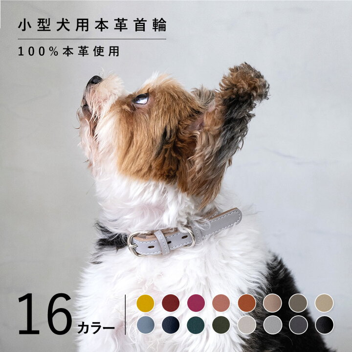 楽天市場 犬 首輪 おしゃれ 犬 首輪 革 日本製 犬 首輪 かわいい 犬 首輪 かっこいい 犬の首輪 犬 首輪 小型犬 超小型犬 革 日本製 革製 皮 本革 レザー おしゃれ かわいい ペット用品 犬用品 カラー シンプル 10mm 15mm