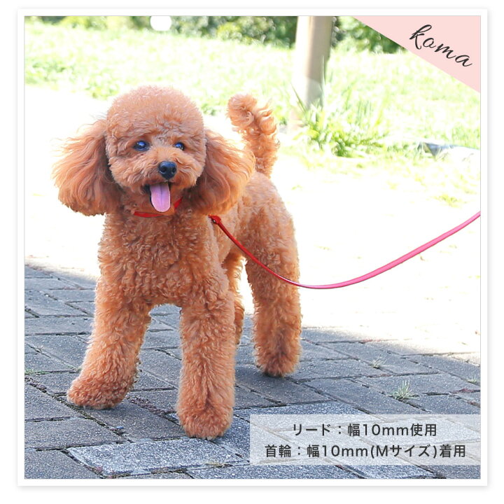 楽天市場 犬 リード おしゃれ 犬 リード 革 日本製 犬 リード かわいい 犬 リード かっこいい 犬のリード 犬 リード 小型犬 革 日本製 革製 皮 本革 レザー 栃木レザー おしゃれ かわいい ペット用品 犬用品 シンプル 10mm モバイルプラス楽天市場支店