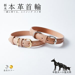 yS̓{z {v   Ȗ؃U[    v {   킢    ̎   ^ ^ v { v  {v U[ 