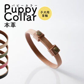 【送料無料】パピーカラー 本革 犬 首輪 おしゃれ 犬 首輪 革 日本製 犬 首輪 かわいい 犬 首輪 かっこいい 犬の首輪 犬 首輪 子犬 初めて パピー 愛犬 首輪 小型犬 本革 レザー 皮 栃木レザー おしゃれ かわいい ペット用品 犬用品 カラー シンプル 10mm