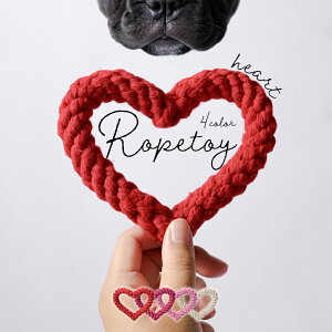 yzybgp ybgpgC  [v Jt [vgC  ݂  킢 邨 ނ   q S