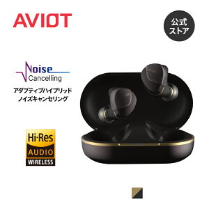 AVIOT TE-W1-PNK sz8 A_veBunCubhmCYLZO CXCz RALV3DVXe nC]Ή Cz fA_Ci~bNhCo[ mY