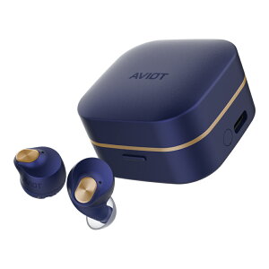 AVIOT TE-Q3R �A�_�v�e�B�u�m�C�Y�L�����Z�����O ���C�����X �C���z�� Bluetooth 5.3 �}���`�|�C���g�Ή� �ʘb�p�}�C�N���� ��×p�V���R���̗p �ő�42���ԍĐ� �O���捞 IPX4�h��