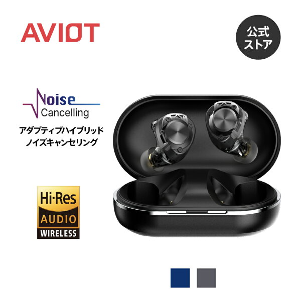 AVIOT TE-W2 ワイヤレスイヤホン アダプティブハイブリッドノイズキャンセリング 3Dスペーシアルオーディオ ULTRA DEEP BASS DLC振動板 コアキシャル3Dシステム2.0 金属製ノズル LDAC ハイレゾ対応 マルチポイント 最大52時間再生 外音取込 IPX4防水 装着検知