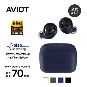 AVIOT TE-A1 nC]Ή SCXCz Bluetooth 5.3 ő70ԍĐ A_veBumCYLZO 3DXy[VI[fBI CX[dΉ/hho(IPX4) yʐ݌v O
