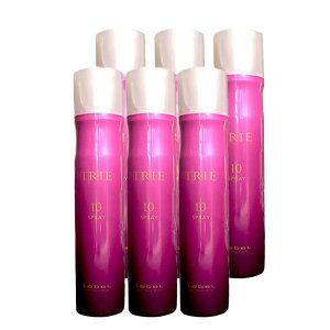 6�Z�b�g Lebel ���x�� TRIE �g���G �X�v���[10 170g STANDARD SPRAY �u�ԃZ�b�g�E��������n�[�h �w�A�X�^�C�����O