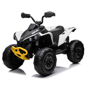 dpߋ pߋ oM[ ATV Ji BRP Can-Am CZX p dJ[  q  ̂ 蕨 v[g a ߃ACe dJiATV