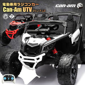 pWR UTV Ji Marverick BRP Can-Am TChEoCETCh r[O 12V4.5Ah փTXyV CZX y_ƃv|ő\ dWRJ[ pߋ q  W