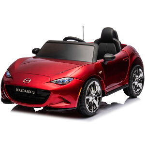 pWR }c_ US[hX^[ MAZDA MX-5 RF 6V4Ah×2 lփTXyV CZX y_ƃv|ő\ dWRJ[ pߋ q  WRJ[ dpߋ d
