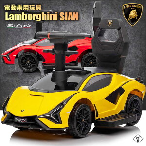 dpߋ pߋ  {M[j VA Lamborghini SIAN { CZX p dJ[ q  ̂ 蕨 v[g a ߃ACe dSIAN~j