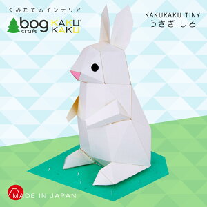 bog craft �{�O�N���t�g �g�ݗ��Ă�C���e���A �H�� ���� �y�[�p�[�N���t�g KAKUKAU �J�N�J�N TINY ������ ����