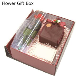 vU[uht[ Mtg{bNX KN Shot Stem Rose [ip BOX̂ݔ̔͂ł܂ByvU[uht[z