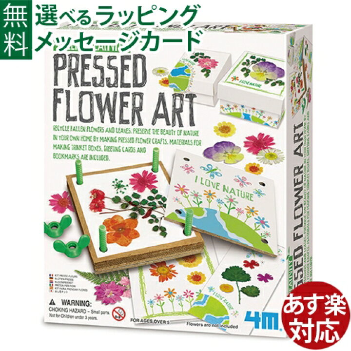 楽天市場 知育玩具 4m 押し花アート フラワーアート おしばな 誕生日 Steam Stem おうち時間 入学 入園 小学生 工作 キット 地球 子供 木のおもちゃ コモック