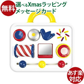 知育玩具 赤ちゃん ハーフバースデー BorneLund（ボーネルンド ） アンビトーイ（ambitoys） アクティビティ・ケース 出産祝い お祝い おうち時間 子供