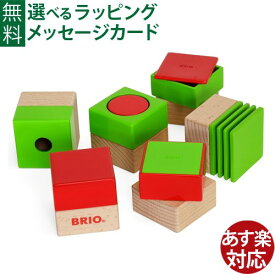 知育玩具 BRIO アクティビティブロック 積み木 ブロック お誕生日 1歳 FSC認証 おうち時間 子供