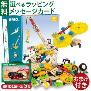 _܂t^؂̂ H ubN BRIO r_[ ANeBreB2 gėV p t@C[^[XL FSCF  q