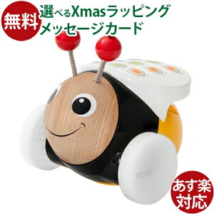 ؂̂ uI/BRIO vO~O r[ STEM a mߋ 1 FSCF  q