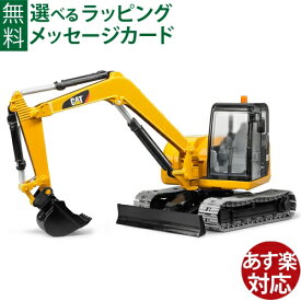 Bruder ブルーダー 正規輸入品 ドイツ CAT ミニショベル 02456 1/16 キャタピラー ミニカー ショベルカー ごっこ遊び おうち時間 外遊び 子供