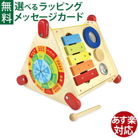 知育玩具 木のおもちゃ 出産祝い アイムトイ 指先ラーニングBOX 誕生日 1歳 2歳 3歳 おうち時間 子供