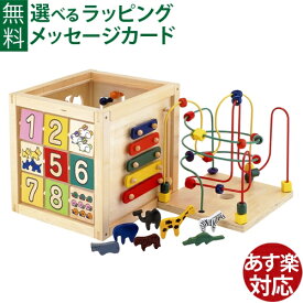 木のおもちゃ 型はめ 知育玩具 エドインター 森のあそび箱 誕生日 1歳 男女 おうち時間 子供