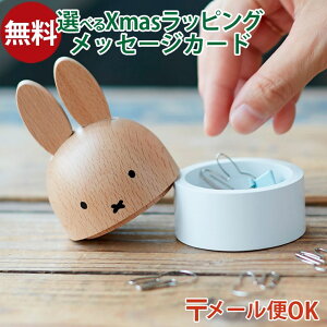 [OK j`K nichigan miffy ~btB[ P[X v`Mtg  G ؐ v[g Mtg  l Ƃ ObY