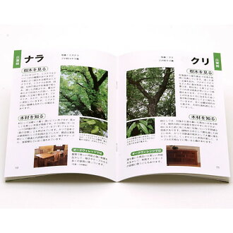 オークヴィレッジOakVillage寄木の積木木箱入り商品イメージ木のおもちゃ知育玩具白木無塗装誕生日1歳積み木出産祝いお誕生日クリスマスプレゼントギフト
