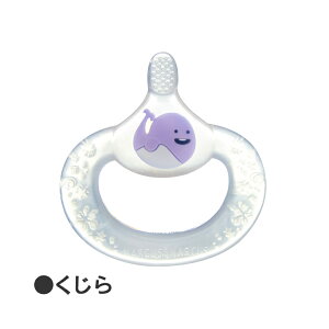 [OK }[JX&}[JX xr[eB[VO gD[XuV v`Mtg uV ł Ԃ 