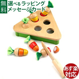 木のおもちゃ Playme プレイミー プラックキャロット神経衰弱 メモリーゲーム 知育玩具 おうち時間 子供