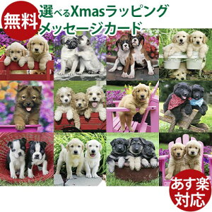 �W�O�\�[�p�Y�� 500�s�[�X ���� ��l�p Ravensburger ���x���X�o�[�K�[ �p�s�[�t�����h �p�Y�� ���������� �q��