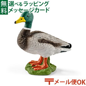 メール便OK シュライヒ 動物フィギュア schleich 13824 シュライヒ ごっこ遊び カモ（オス） おうち時間 子供