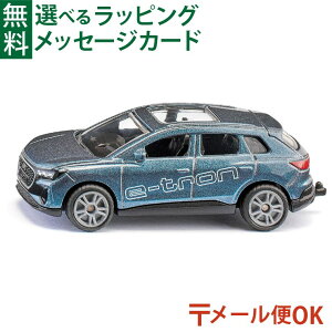 ���[����OK siku�i�W�N�jSIKU �A�E�f�B Q4 e-tron BorneLund�i�{�[�l�����h �j�~�j�J�[ �������V�� ���������� �q��