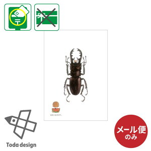 [ւ̂ |XgJ[h G͂ Ƃڂ NK^ ˓cfUC Ƃ낤 G{ p  莆  w |Cg