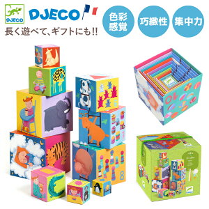 DJECO WFR 10t@j[ubNX ςݖ L[u 10 킢̃CXg 1 Ԃ mߋ eb\[ RpNgɎ[\ DJ08503