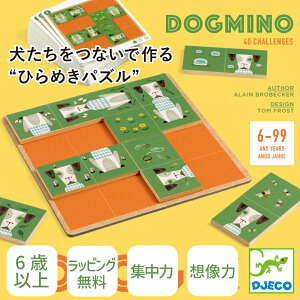 y|Cg5{zNX}X _pY WbNQ[ {[hQ[ Q[ mQ[ mߋ q m v[g eb\[ 5 6 7 8 | DJECO WFR hbO~m |