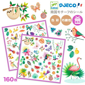 DJECO WFR V[Zbg p_CX 4V[g 썑 쒹  t[c XebJ[ 3 4 w j̎q ̎q qp JV[  킢 CO Xe[Vi[ DJ09271