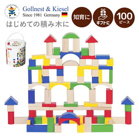 2歳積み木 つみき 知育おもちゃ 1歳知育玩具 2歳 木のおもちゃ 木製 1歳木のおもちゃ ブロック キューブ 知育玩具 ベビー 子供 2歳誕生日プレゼント 1歳知育玩具 赤ちゃん 出産祝いギフト 積木 | Gollnest&Kiesel ゴルネスト＆キーゼル ビルディングブロック 100ピース |