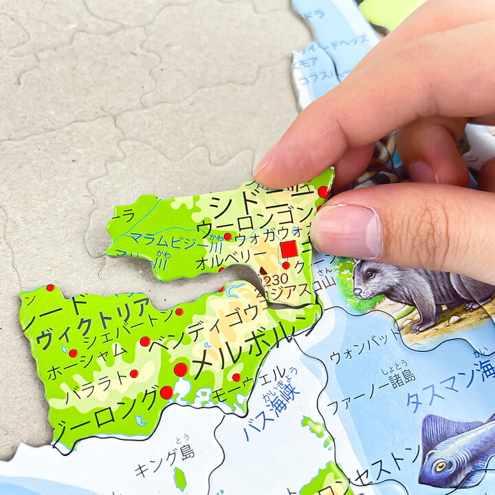楽天市場】世界地図パズル ジグソーパズル オーストラリア 知育パズル 