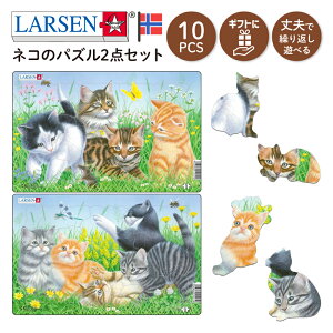 yN[|zzzNX}X WO\[pY  q  pY j̎q ̎q 2 3 mߋ j̎q ̎q av[g Mtg wj 3 mߋ  LARSEN [Z