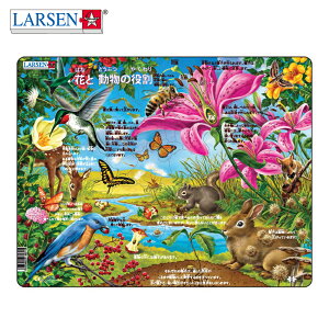 yN[|zzzNX}X WO\[pY  q  pY j̎q ̎q 5 6 mߋ j̎q ̎q a  v[g wj mpY  7 LARSEN [Z 