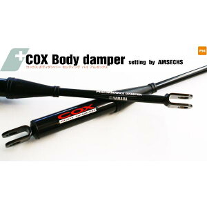 COX (RbNX) {fB[_p[setting by AMSECHS (A[bNX) F56p@MINI F56