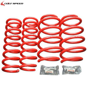 RgXs[hyCOLT SPEEDztgAbvTXyViCSD0105-083jfJD:5 CV1W MCO 2018N12܂ł̐Y