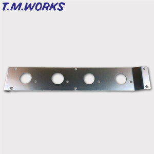HPD101 T.M.WORKS�yTM���[�N�X�z4AG�_�C���N�g�C�O�j�b�V�������R�C���x�[�X�v���[�g