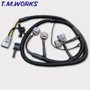 FDI002H T.M.WORKS�yTM���[�N�X�z�_�C���N�g�C�O�j�b�V�����L�b�g 4A-G/4A-GZE��p�n�[�l�X