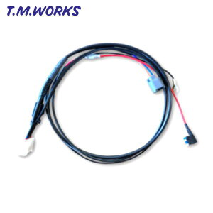 MS005-1 T.M.WORKSyTM[NXzIgnite MSIڑp Ignite VSDdn[lXiq[YBOXڑ^dn[lXj