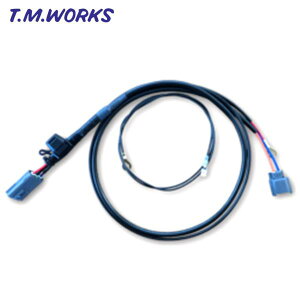 MS005 T.M.WORKSyTM[NXzIgnite MSIڑp Ignite VSDdn[lXiq[YBOXڑ^dn[lXj