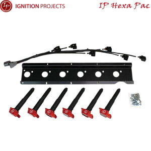 �C�O�j�b�V�����v���W�F�N�c�yIP�փN�T�p�b�N Type-R�z�A�C�s�[�w�N�T�p�b�N �^�C�vR�iIP-H134604/IP-H134604V�jBNR32 RB26DETT